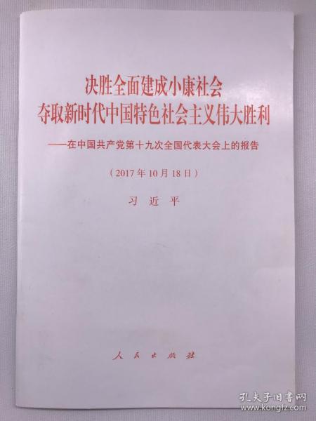 2025年正版资料免费大全中特，全面释义、解释与落实