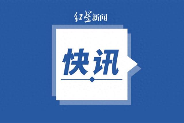 2025新澳最精准免费大全，精选解释解析与落实策略